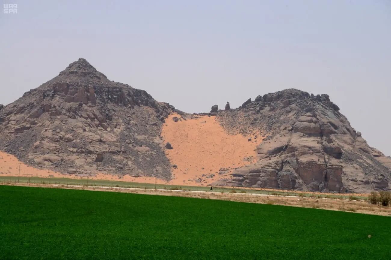 حائل میں 3 روزہ سیاحتی پیکیج (الطائی اصطبل - جبہ - الادھم)