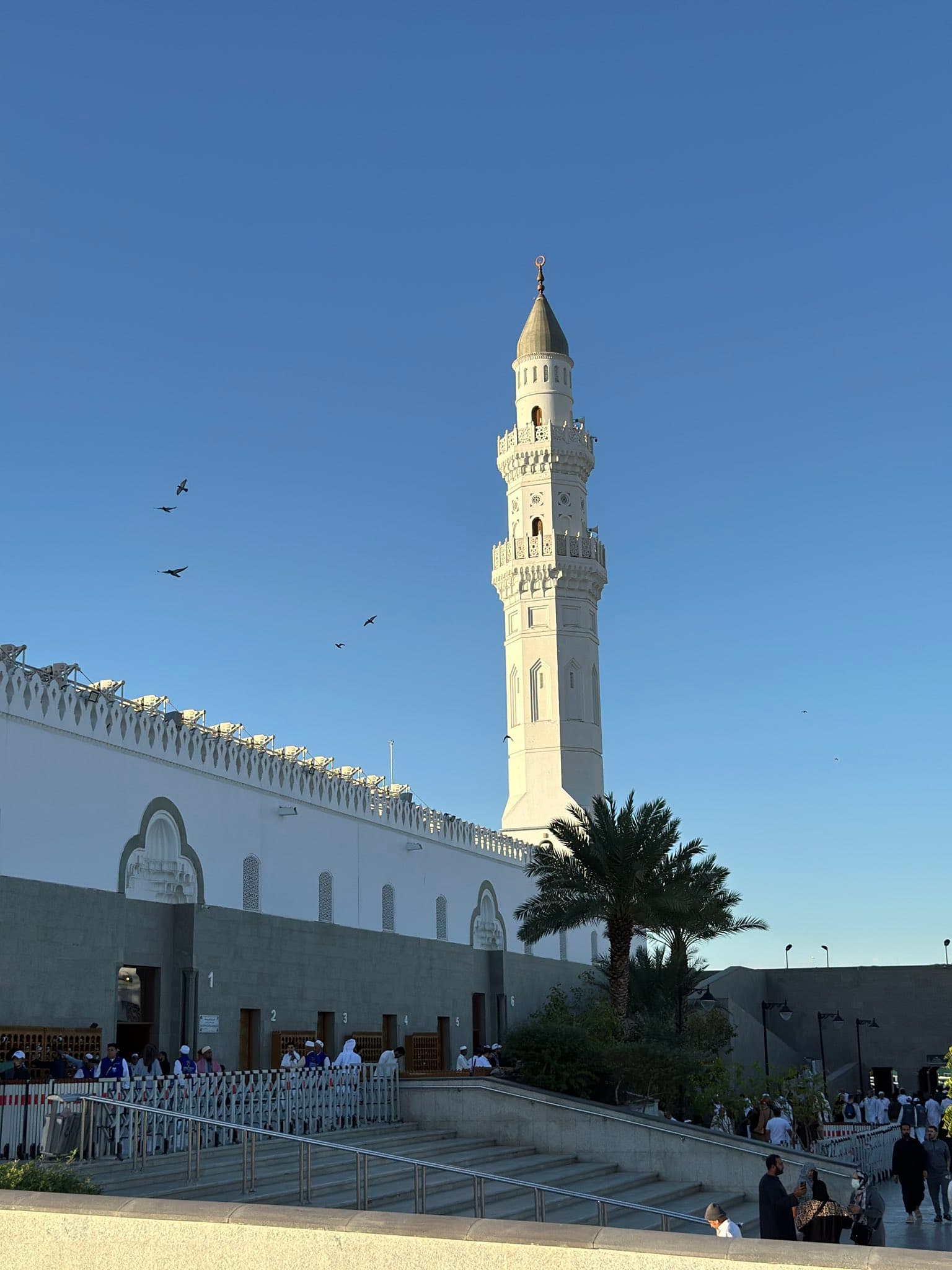 سیرت کا تجربہ: قبا اور سایہ دار باغ کا سفر