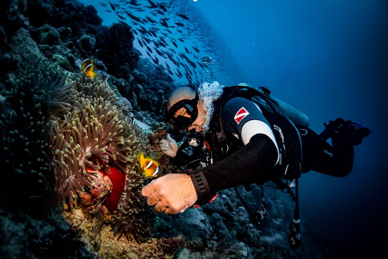 Pengalaman menyelam di Laut Merah di Jeddah.