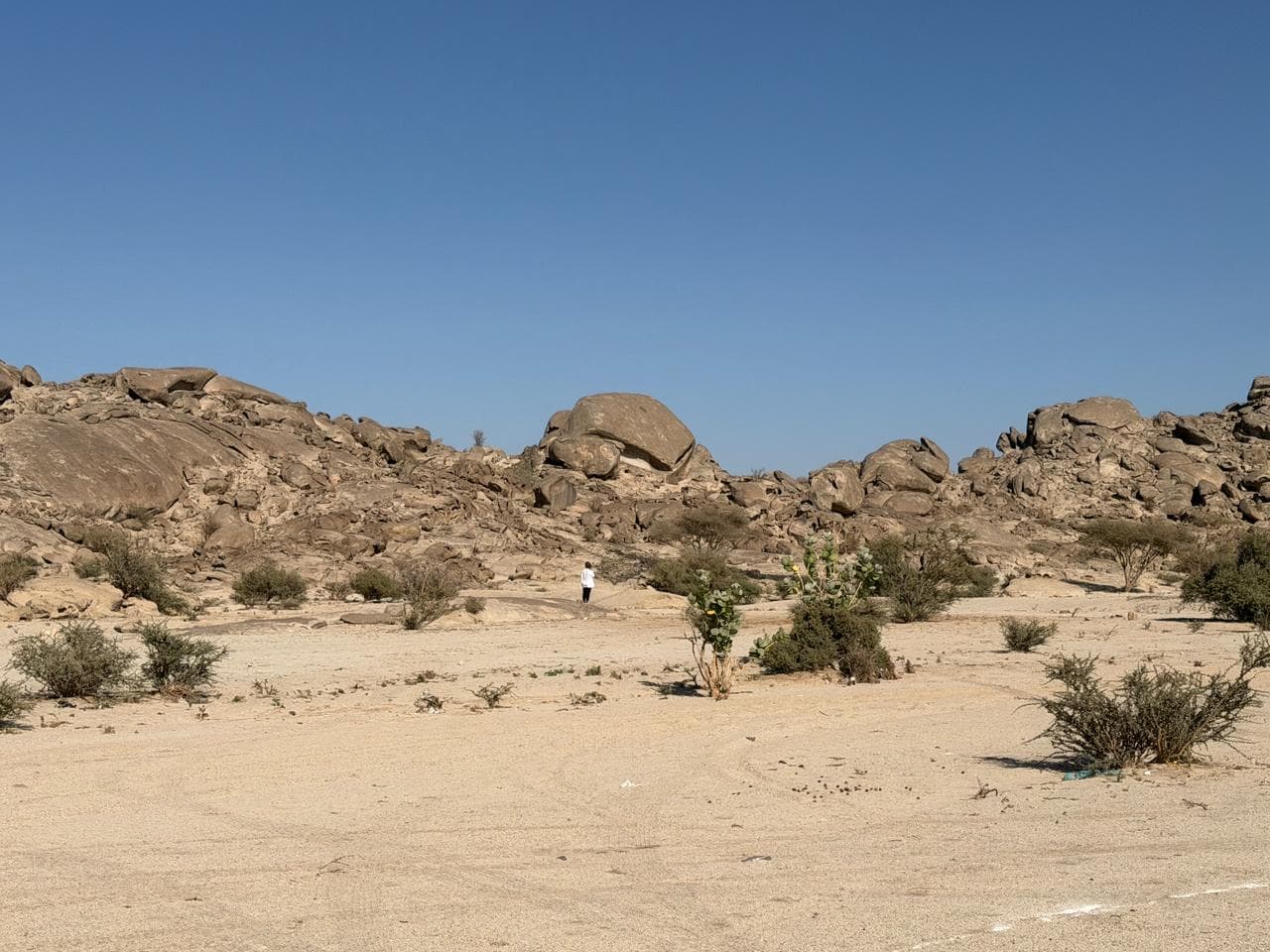 جدہ میں ہائیک آگاہی سمٹ